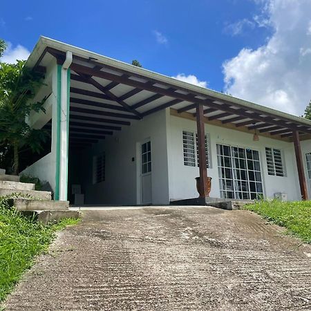 Green Loft Villa Le Morne-Vert Bagian luar foto